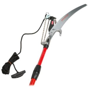 Read more about the article Corona Dual Compound Action Tree Pruner – 14 ft TP 6870 Max RazorTOOTH