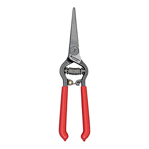 Read more about the article Corona FS-4350 Thinning Shears Cushioned Non-Slip Grip